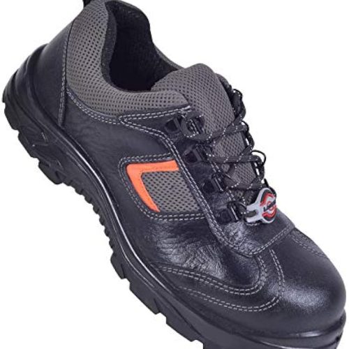 41DJq8sbuFL._AC_UY1000_ 41DJq8sbuFL._AC_UY1000_